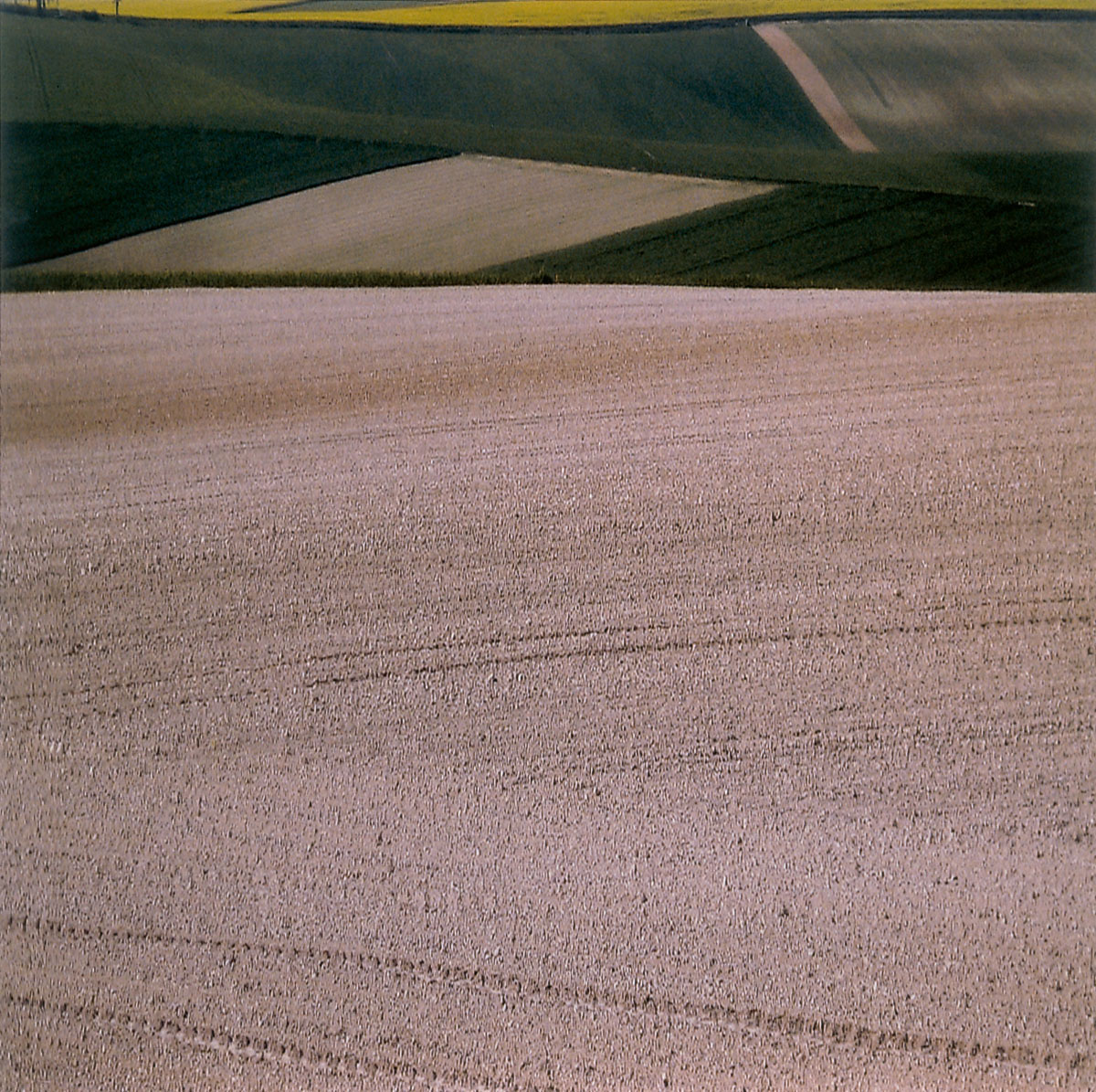 Pole I, 2006 (1)